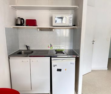 Location Appartement 1 pièce 21m² - Photo 5