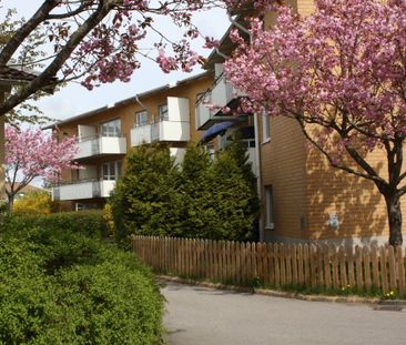 Lars Runebergs gata 28 - Photo 1