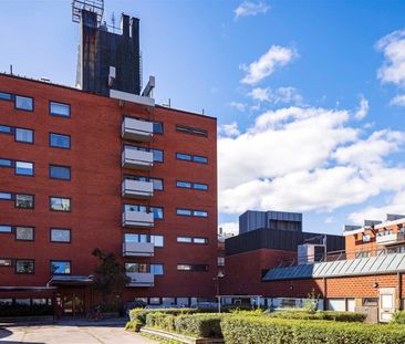 Plangatan 6 - Foto 6