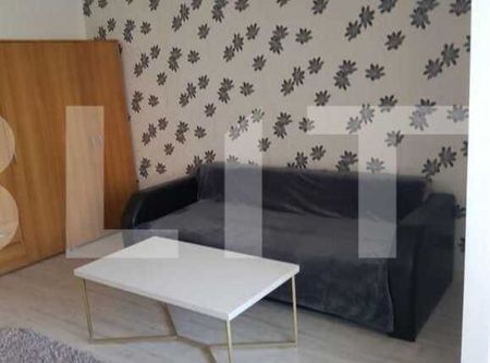 Apartament cu o camera, 33 mp, zona strazii Parang - Fotografie 2