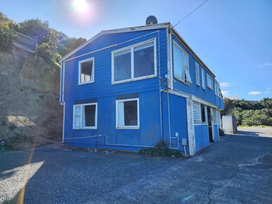 Owhiro Bay Living! - Photo 1