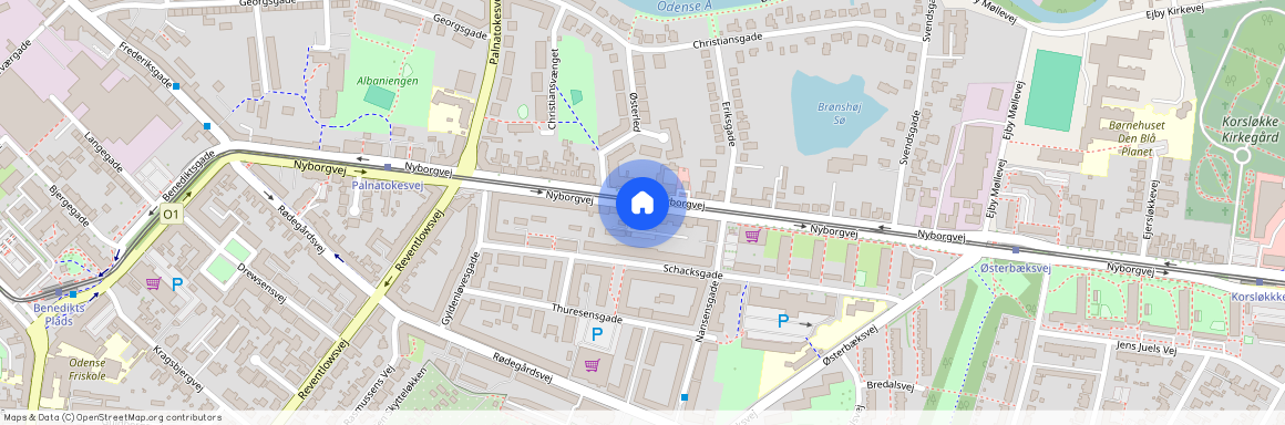 Nyborgvej 69 1. lejl. 3, 5000 Odense C