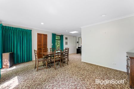 Comfort and Scope in Court Location - Photo 4