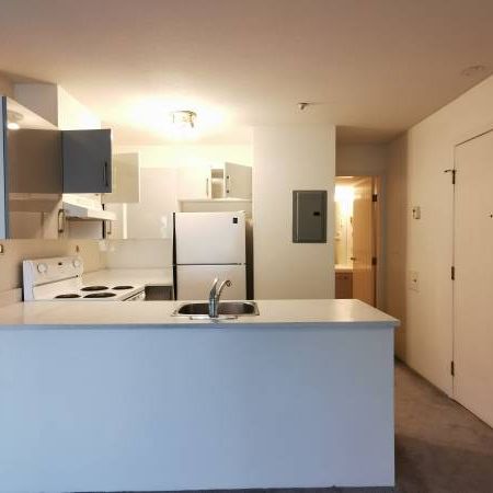 1 bedroom + 1 bathroom (2nd-Floor @8650 Hudson Street) - Photo 3