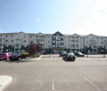 Timberstone Village — 1 Bedroom & 1 Bathroom - Photo 1