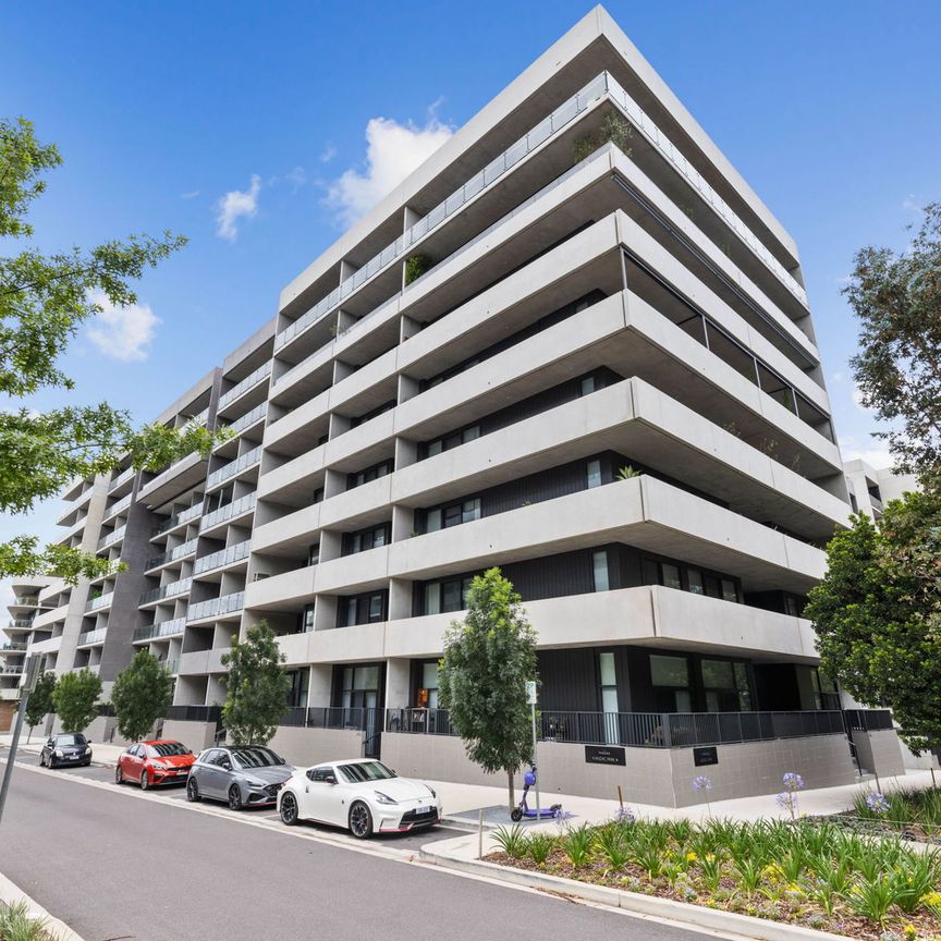 The luxurious fully furnished 1-bedroom apartment in Campbell you have been waiting for! - Photo 1