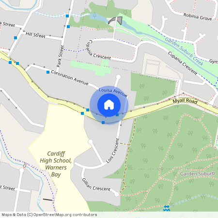 94 Myall Road, Cardiff, NSW 2285