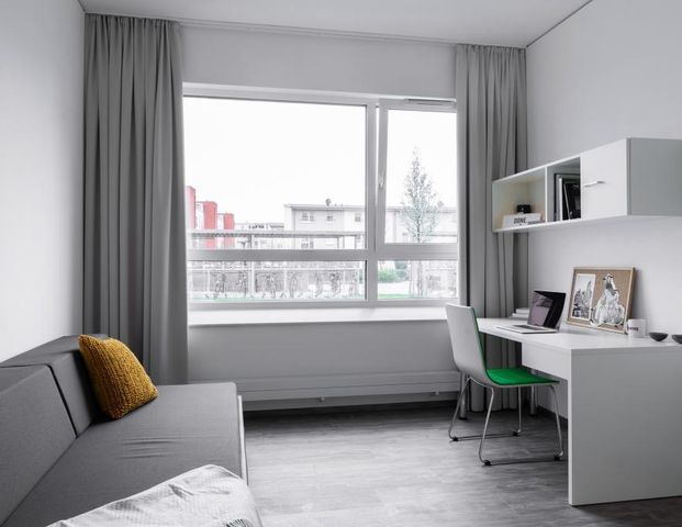 Maxi Studio 1.00.08 - Photo 1