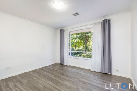 151 Duffy Street, Ainslie ACT 2602 - House For Rent | Domain - Photo 2