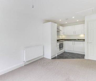 Earls Court, Mulberry Close - Near Town Centre - LU1 1BZ - Photo 2