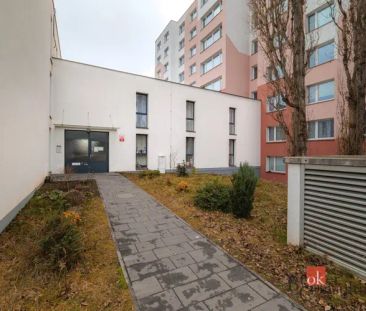 Pronájem bytu 2+1 48 m - Fotografie 3