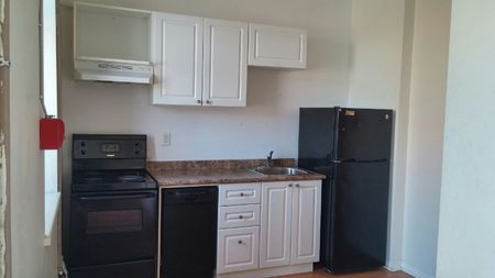 103 - 175 King Edward Avenue - Photo 4