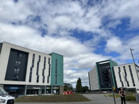 Studio - Gold - Photo 2