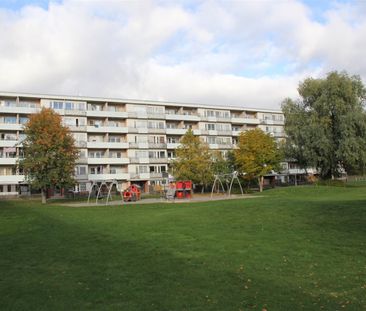 Trädgårdsgatan 50 A - Photo 6