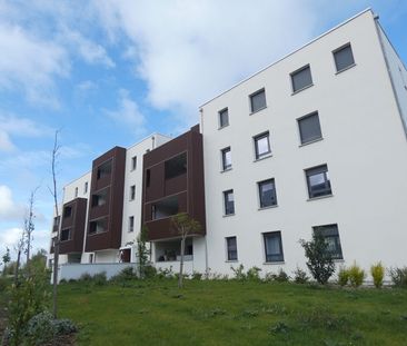 Appartement T3 MURET à louer - Photo 6