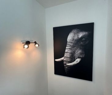 Quimper studette coloation meublée à l’année de 14.13m2 - Photo 3