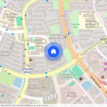 924 Tampines Street 91 (520924), Singapore
