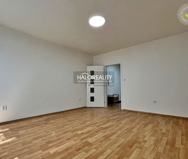 HALO reality - Prenájom, trojizbový byt Levice, kompletná rekonštru... – Fotografia 4