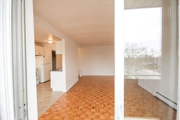 Juniper Apartments - ALL INCLUSIVE - Photo 1