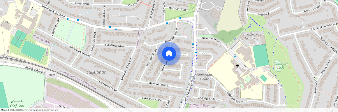 Stillorgan Wood, Stillorgan, County Dublin