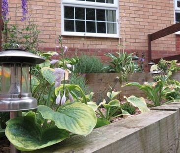 The Street - Photo 1