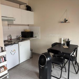 Location Appartement 1 pièce 25m² DIJON 21000 - Photo 2