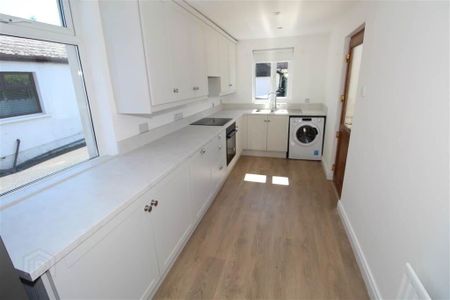 43 Grand Parade, Belfast, BT5 5HG - Photo 4