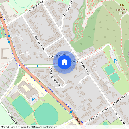 Sea Cliff Court, Scarborough YO11