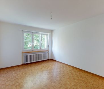3 Zimmer, 62 m², 1. Stock - Photo 4