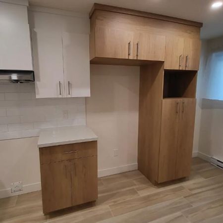 4.5 RÉISOLÉ et RÉNOVÉ DE A à Z ULTRA MODERNE!!! - Photo 4