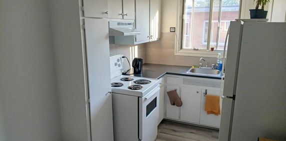 3 1/2, lumineux, remis à neuf en 2023, semi-meublé, chauffé dans Cartierville - Photo 2