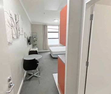 Aitken Street Studio Apartment - Photo 2
