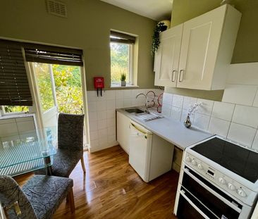 1 Bed Flat, Basement Garden, W12 - Photo 3