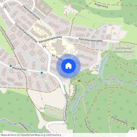 Im Trichtisal 10, 8053 Zürich