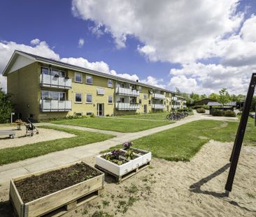 Vesterparken, 14 st tv., Ringe, 5750 - Photo 4