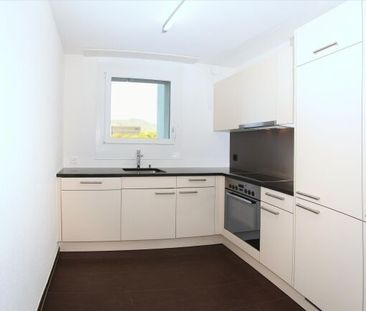 Family nest - Photo 3