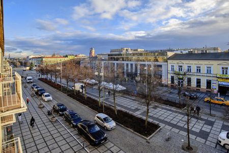 śląskie, Częstochowa, Centrum - Zdjęcie 4