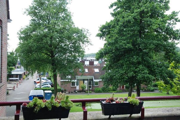 Goudmos 174 - Foto 1