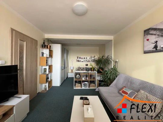 Pronájem částečně zařízeného bytu 1+1 s lodžií, 48 m - Photo 1