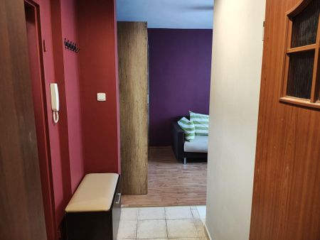 Komfortowe M3 - Photo 5