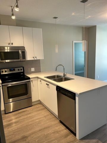 PARALLEL ONE APTS - 202 - P1-202 - Photo 2