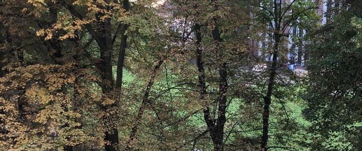 Biete 2-Zimmerwohnung zum Tausch gegen größere Wohnung - Foto 1