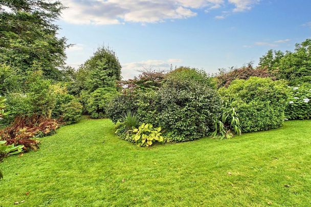 2 bedroom detached bungalow to rent - Photo 1