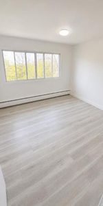 1 1/2 - Montréal (Notre-Dame-de-Grâce) - 995 $/mois - Photo 3