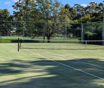 Freshly Updated & Perfectly Located: Modern Single-Level Living - Photo 3