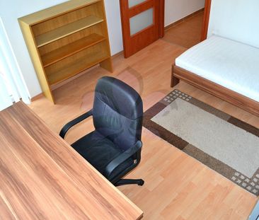 2 rooms flat rent in the centre - Fotó 5
