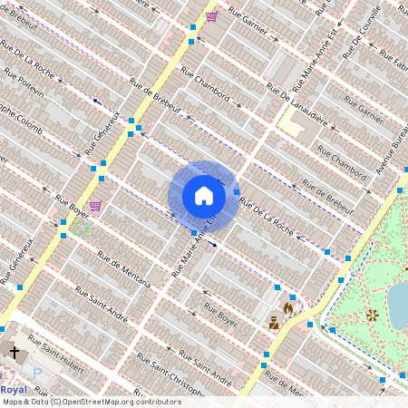 1123 Rue Marie-Anne E., app.204, H2J 2B6, H2J 2B6, Montréal