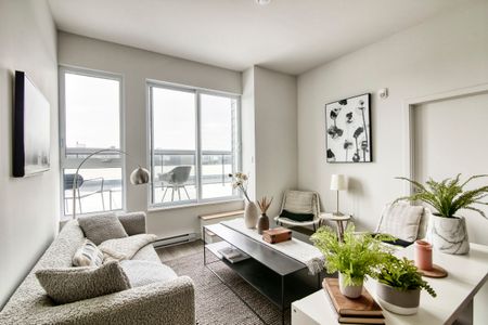 9675 Av. Papineau - Photo 3