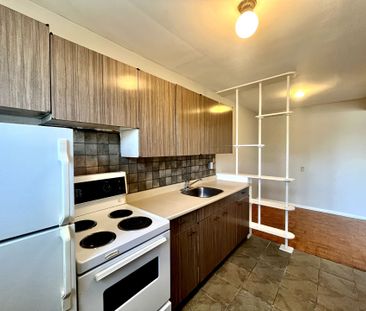 For Lease - 435 Nelson Street Unit# 2, London East, Ontario - Photo 4