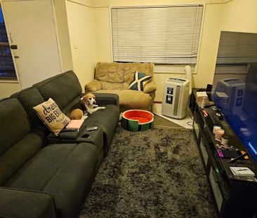 Campbelltown - Photo 3